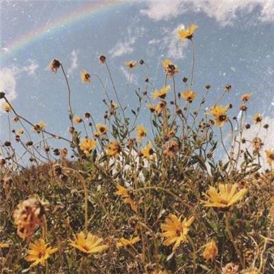 亚博AG娱乐app下载