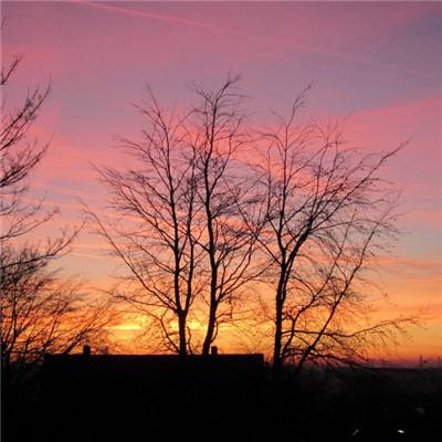 乐发大众彩票app下载安装